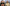 Sunglasses Trends for Spring / Summer 2025