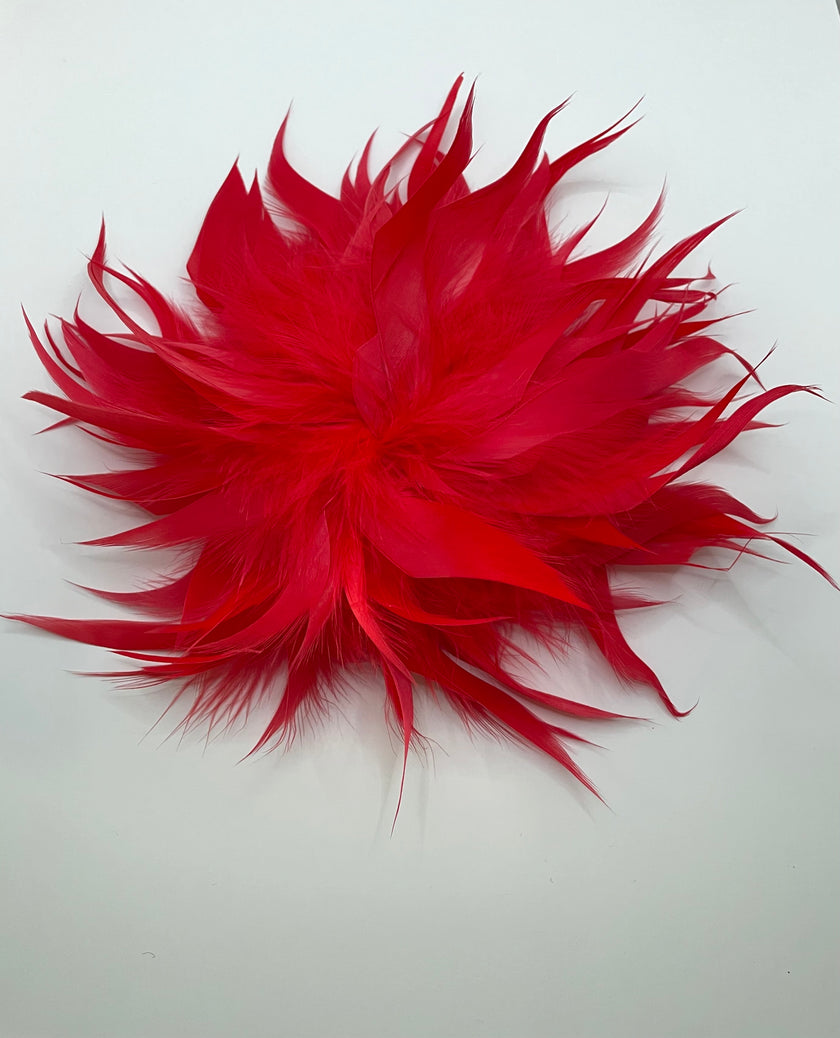 Bontle Striking Red Oversized Feather Brooch