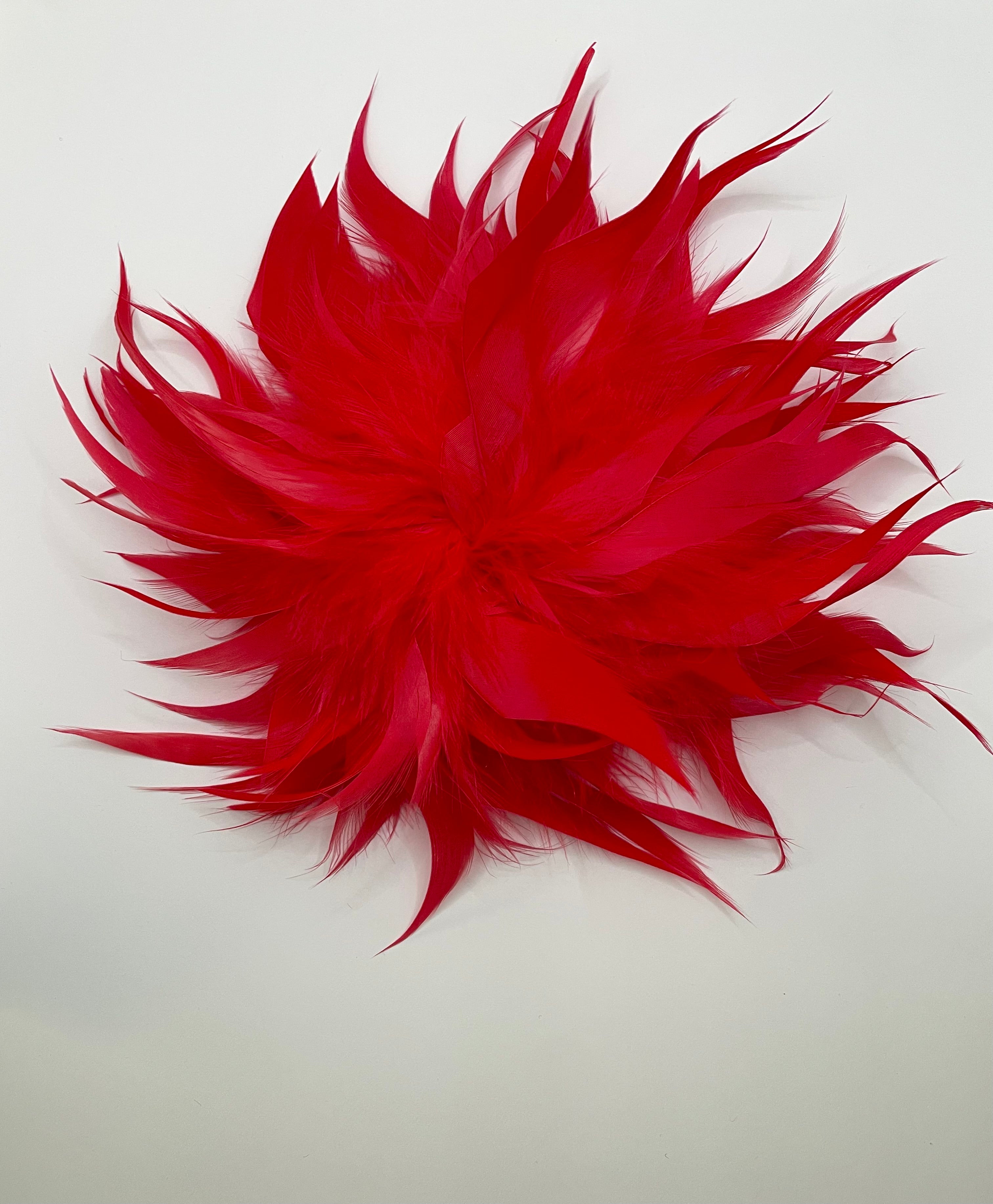 Bontle Striking Red Oversized Feather Brooch