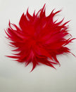 Bontle Striking Red Oversized Feather Brooch