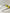 Bandile Black & Yellow Modern Aviator Style Sunglasses