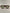 Mpume Tortoiseshell Aviators With Green Tinted Lens