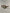 Mpume Tortoiseshell Aviators With Green Tinted Lens