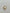 Modestine Gold Open Double White Stone Ring