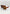 Katlego Oversized Brown & Tea Aviator Sunglasses