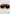 Katlego Oversized Brown & Tea Aviator Sunglasses