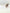 Gontse Champagne Tres Luxe Sunglasses