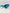Zethu Oversized Black & Blue Visor Style Tinted Lens Sunglasses