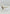 Dudu Cream Vintage Cat Eye Style Sunglasses