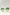 Noku Transparent Green Tinted Lens Sunglasses